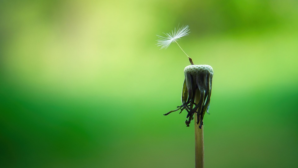 The Benefits of Mindfulness: How It Can Improve Your Well-being